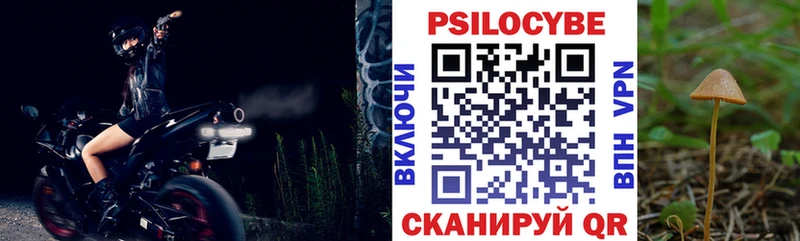 Псилоцибиновые грибы мицелий  Купить  Знаменск 